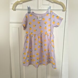 🌼$15 Hanna Andersson Dress